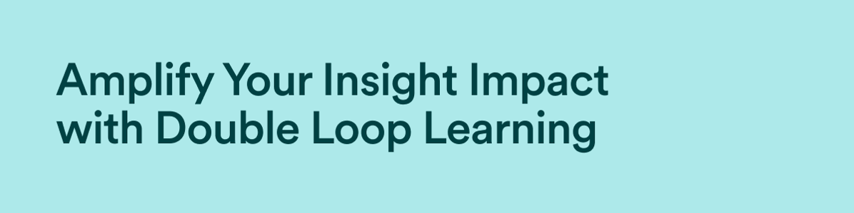 Amplify Your Insight Impact with Double Loop Learning